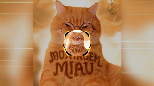 LENAR - MONTAGEM MIAU - SLOWED - Full version - PHONK