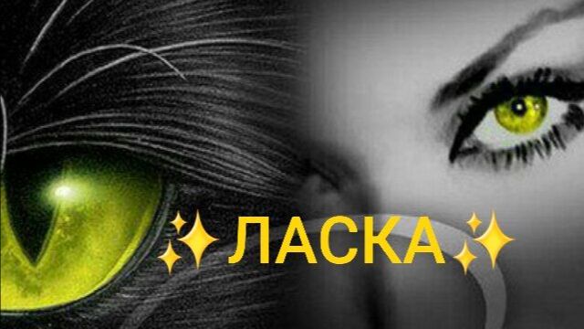 41. 💚 Лучше быть ⭐️В ТЕМЕ⭐️, чем 🔥в оппозиции🔥 🦄 ✨️🤝✨️