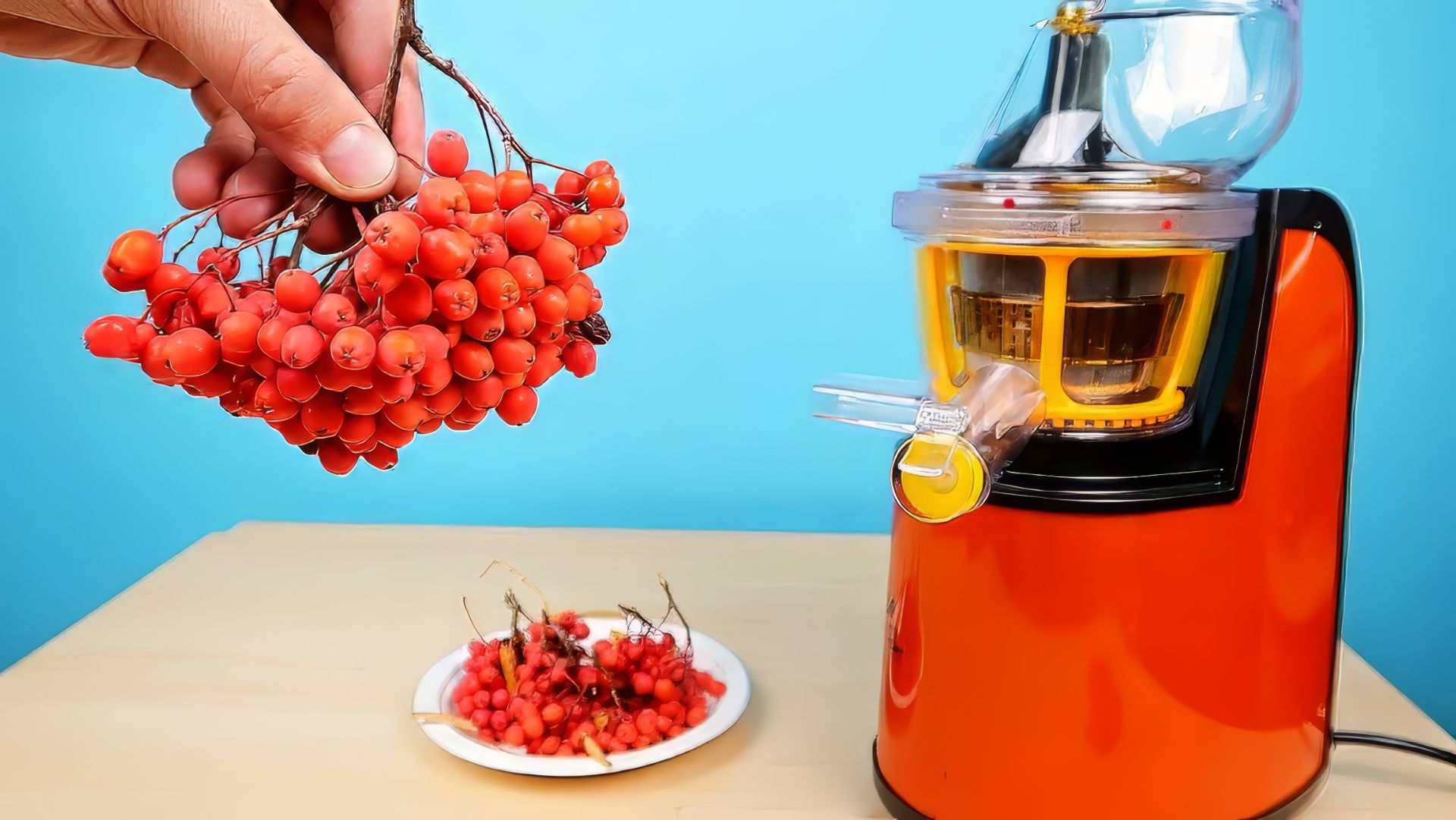 Что если выжать сок из Рябины? Какой он будет на вкус? Бедная соковыжималка! alex boyko