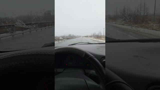 1000019466.mp4 смотреть онлайн