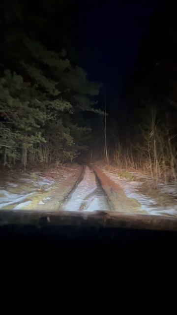 По ночному лесу #снежныекадры #зима #снегопад #деревенскийблог #домвдеревне смотреть онлайн