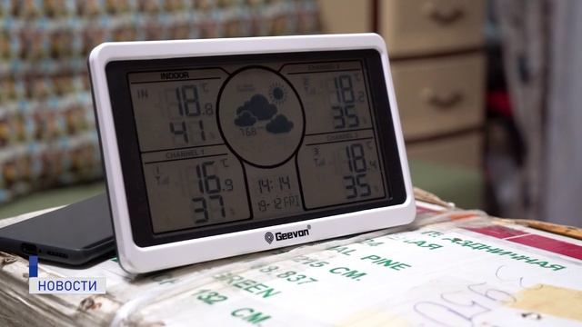 СКОВАННЫЕ МОРОЗОМ смотреть онлайн