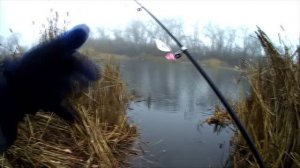 Снова пытаюсь спиннинговать. Туман и холод