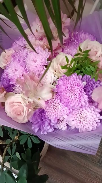 #а4 смотреть онлайн