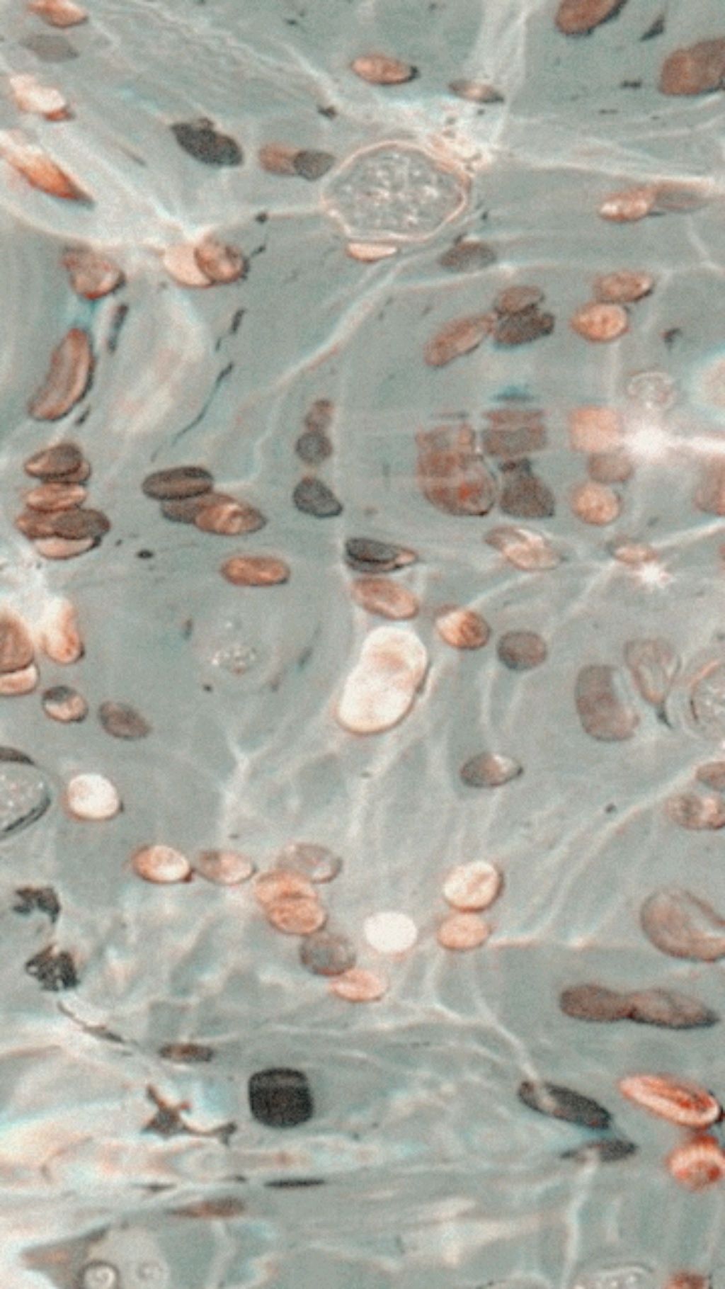 я 💫 смотреть онлайн