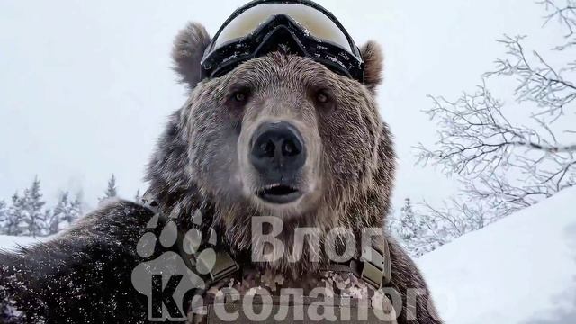 🔵Михалыч и Потапыч - «Первый Снег»🔵(13 серия). смотреть онлайн