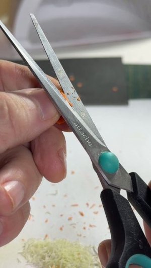 Баночка с капустой.