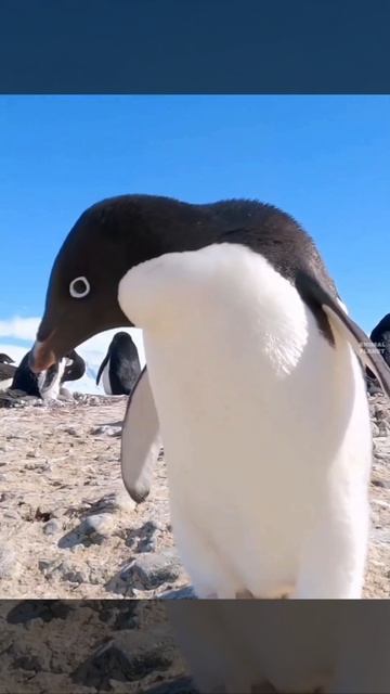 А что вы тут делаете? смотреть онлайн