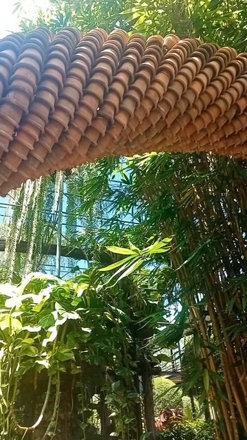 Никогда не видел столько орхидей! Тайный зал орхидей в Таиланде: где цветы шепчут древние легенды смотреть онлайн