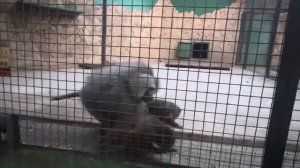 Люся устроила ТАКОЙ ВИЗГ, что у Лиды заканчивается терпение на эту молодуху, она начинает РАЗБОРКИ!