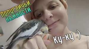 Попугаичьи нежности. Попугай корелла любит нежности и поцелуйчики))