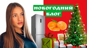 Новогодний Влог. Концерт. Что в новогоднем холодильнике?
