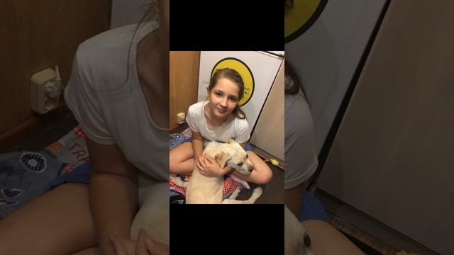 Marshmello - Happier