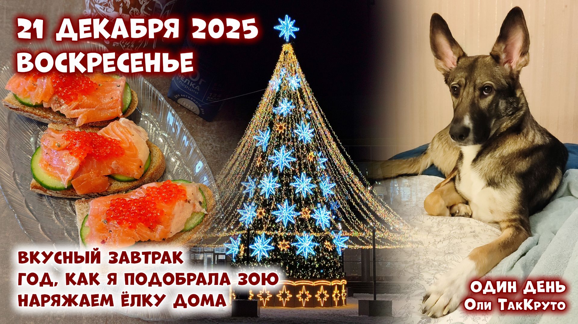 Наряжаем ёлку дома. Как в городе украсили центральную площадь, 21 декабря 2025, день с Олей ТакКруто смотреть онлайн