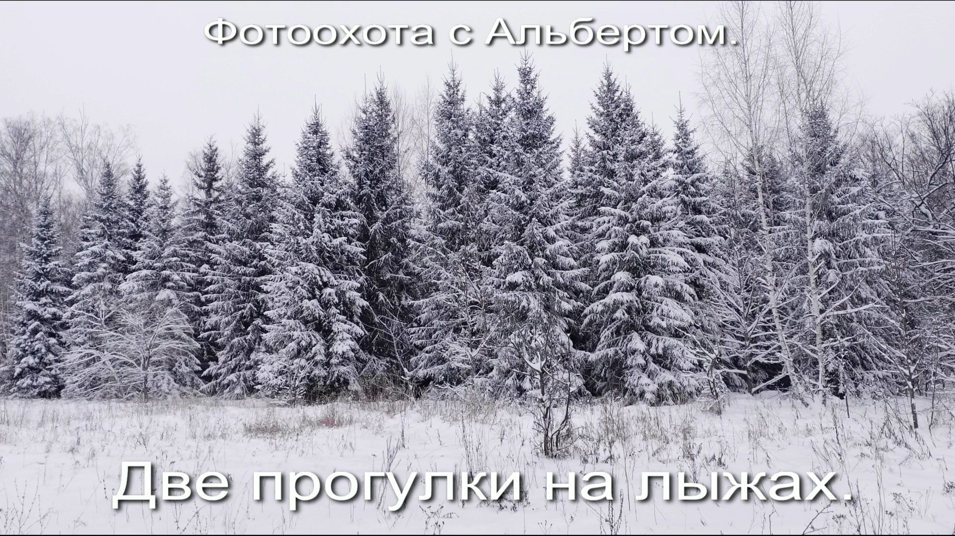 Фотоохота с Альбертом. Две прогулки на лыжах.