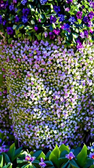 #а4 смотреть онлайн