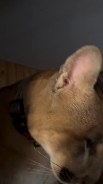 Работающий двигатель трактора смотреть онлайн