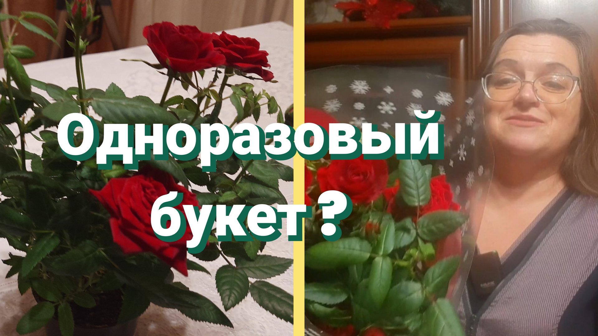 Комнатная роза в горшке. Уход после покупки смотреть онлайн