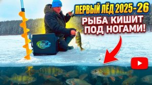 ПЕРВЫЙ ЛЕД! Рыба кишит под ногами Зимняя рыбалка на балансир 2025-26