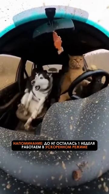 НГ. ТУРБО РЕЖИМ #видео #реклама #видеоролик #заказатьролик #анимация #съёмка #юмор #видеостудия смотреть онлайн