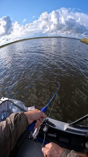 Она победила Воблер, но ПОЗДНО!!! смотреть онлайн