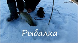 Охота, рыбалка и другое. Канал from Siberia