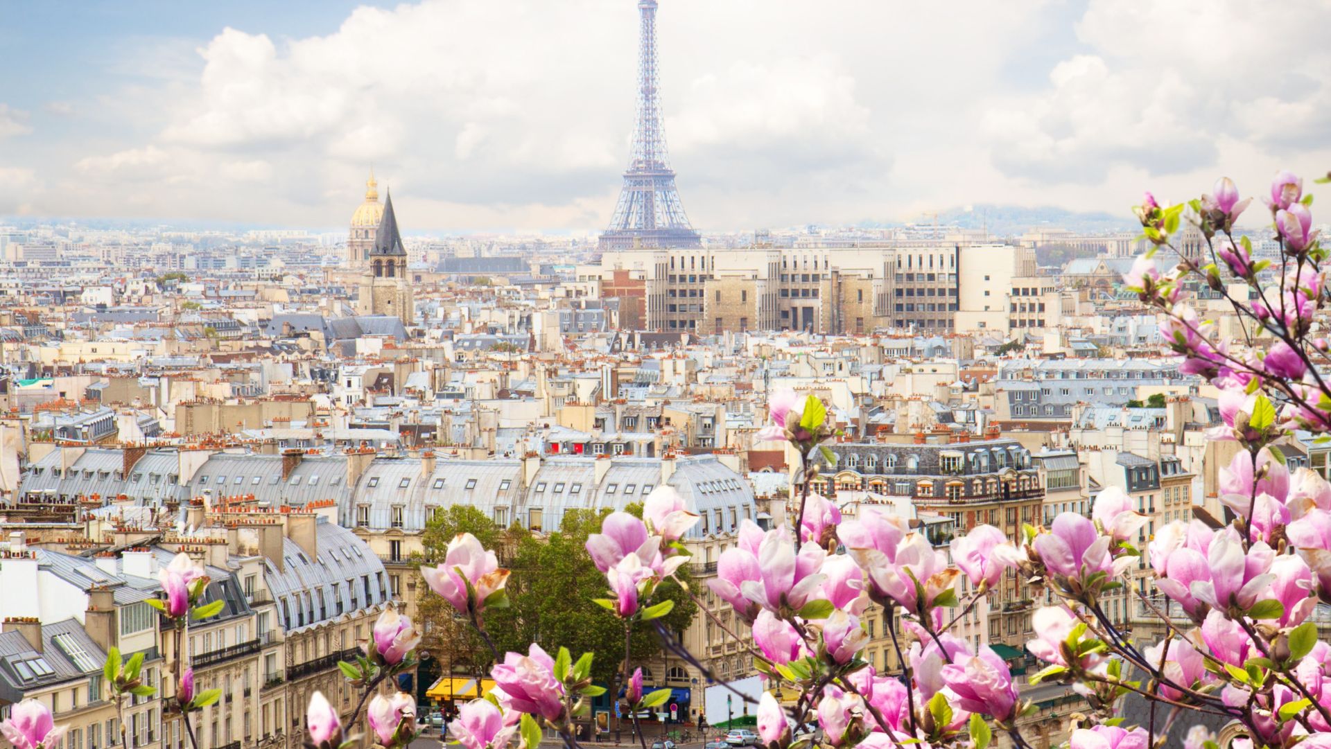 Кафе на улице Парижа - Eleonora