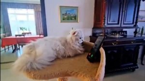 Побег от Чика.ЕХЕ(Некиса и Вася VS Чика.ЕХЕ и дух Блиппи)часть 2