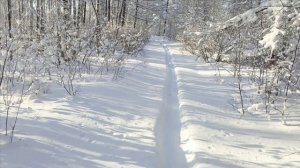 Проверка капканов часть 〽️ 8.Перезагрузка капканов.