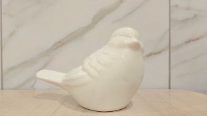 Отрок в облачении. Страница надежды