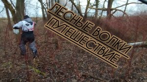 ПУТЕШЕСТВИЕ РАЗВЕДКА НОВЫХ МЕСТ/РЫБАЛКА ЛОВЛЯ ОКУНЯ