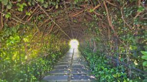 Набегалась, на почту сходила. Ищу денежные переводы