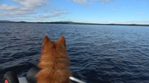 НА ТИХОМ СЕВЕРЕ 3 СЕРИЯ