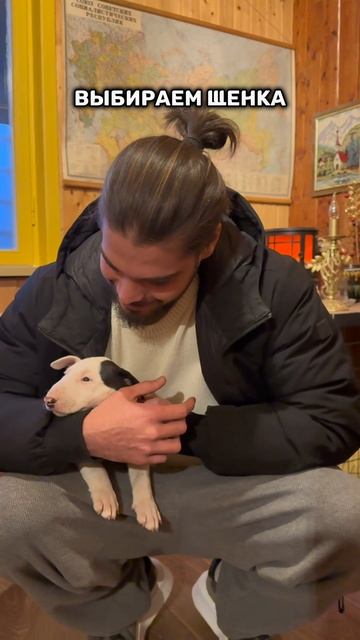 Выбираем щенка смотреть онлайн