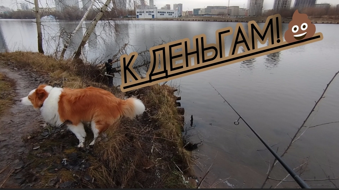 РЫБАЛКА НА СПИННИНГ С КОРЕШЕМ ловля окуня!) смотреть онлайн