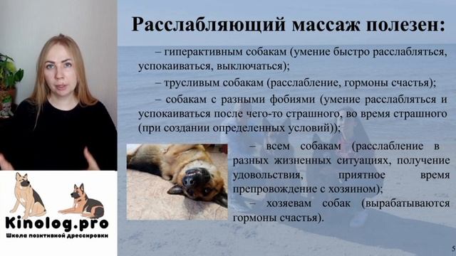 Ознакомительная часть из видео-урока "Расслабляющий массаж для собак" смотреть онлайн