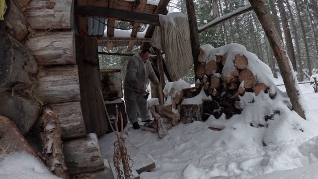 Гончие лоси, соболя в ящиках смотреть онлайн