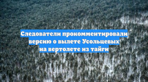 Следователи прокомментировали версию о вылете Усольцевых на вертолете из тайги