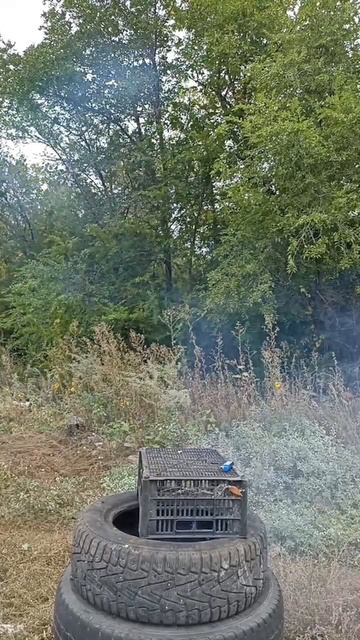 ✅Тест сравнения двух легенд от JF