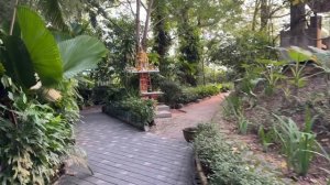 Домохозяйка из деревни уехала в отпуск.Видео из Тайланда.