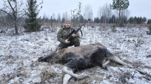 ОХОТА НА ЛОСЯ С ПОДХОДА ПО ПЕРВОМУ СНЕГУ.