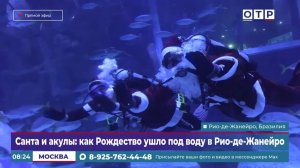 Санта и акулы: как Рождество ушло под воду в Рио-де-Жанейро