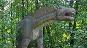 В дино парке СПб