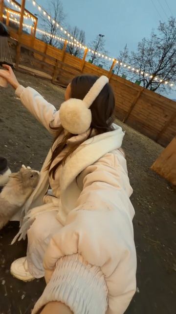 Кролики смотреть онлайн