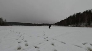 Не щучий день. Ставлю жерлицы.