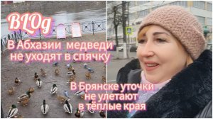 Влог/Прогулка по Брянску/ Магазин текстиля/ Уточки на Десне/ Собираю чемодан в Абхазию/ Иду к внучке