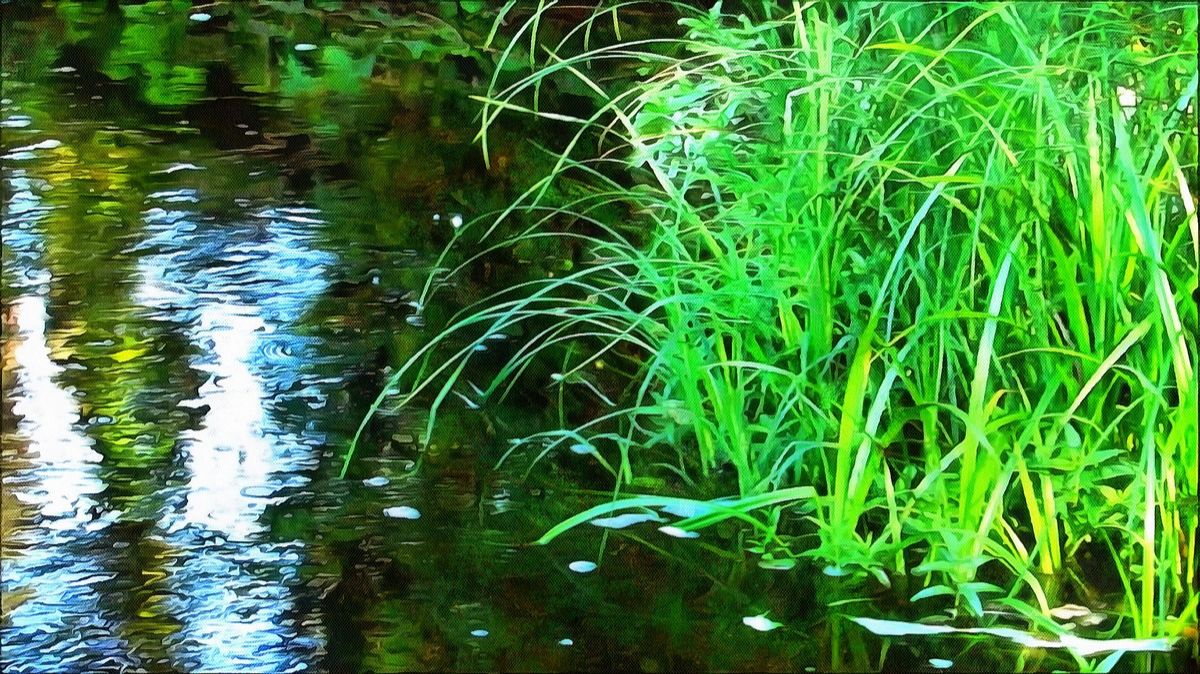 Прохлада реки смотреть онлайн