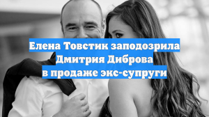 Елена Товстик заподозрила Дмитрия Диброва в продаже экс-супруги