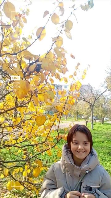Золотая осень 🍁