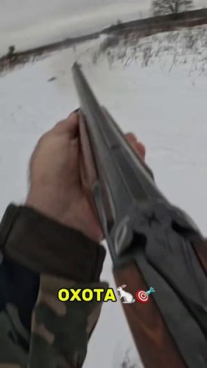 Охота на зайца. 🎯🐇